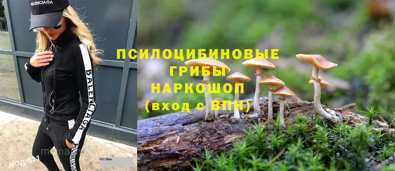 Галлюциногенные грибы Magic Shrooms  цена наркотик  Кохма 